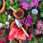 Spring Gardening Essentials You Can Shop on Amazon