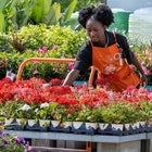 The Home Depot Memorial Day Sale
