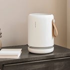 Molekule Memorial Day Sale