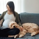 pregnant woman on laptop