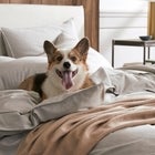 Brooklinen Labor Day Sale