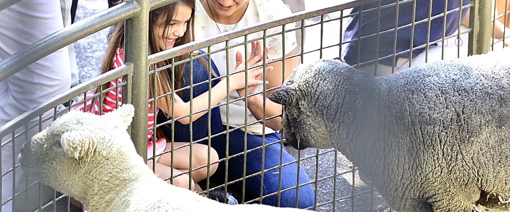 NEW PICS: Katie and Suri Visit the Zoo