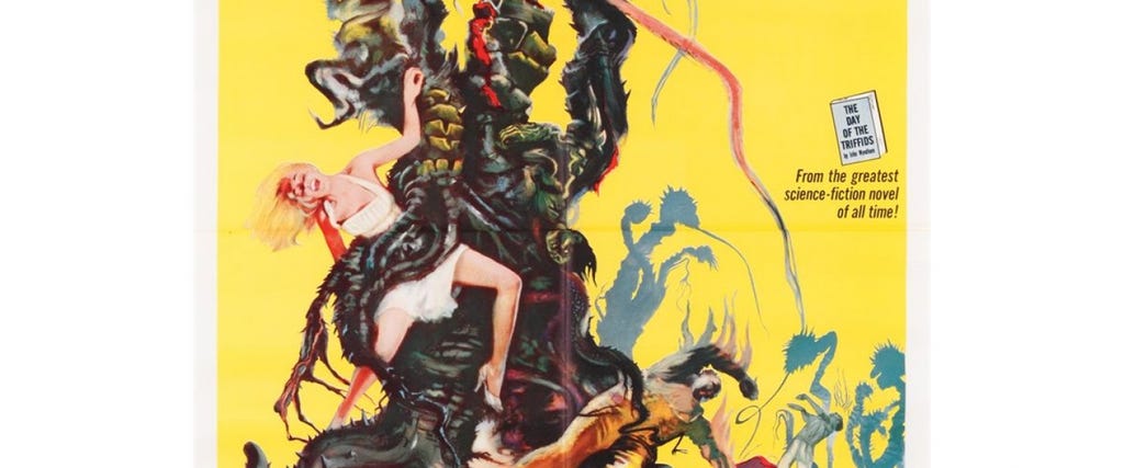 Look Up! Look Out! Meteorite Movies!