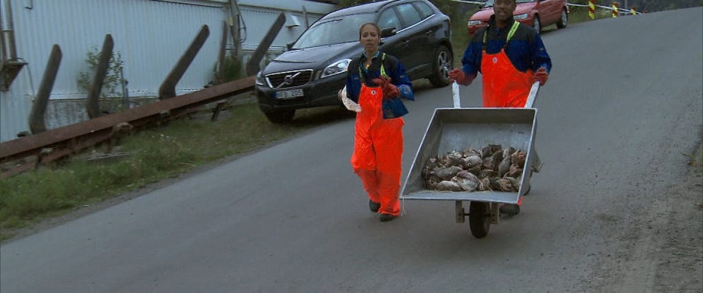 Preview Disgusting 'Amazing Race' Fish Head Detour