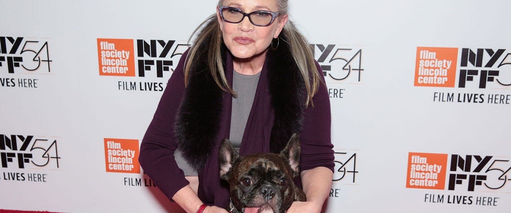 Carrie Fisher and Her Beloved Dog Gary's Sweetest Moments