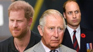 Prince Harry Dodges Question About Relationship With Prince Charles and Prince William 