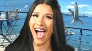 Watch Cardi B Freak Out Over Seagull Stealing Her Food
