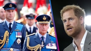 Royal Family 'So Afraid' of Prince Harry's In-the-Works Memoir, Expert Claims (Exclusive)  