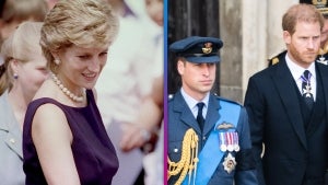 Princess Diana Would Be 'Really Infuriated' by William & Harry's Rift, Biographer Claims (Exclusive)