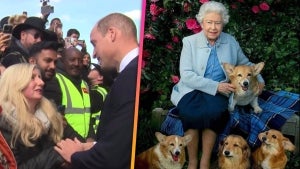 Prince William Gives Update on Queen Elizabeth's Corgis