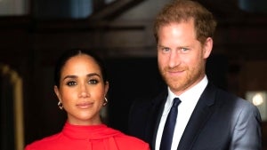 Prince Harry and Meghan Release New Portraits After Senior Royals Release Image Without Them