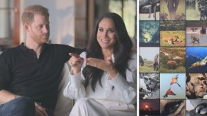 Prince Harry and Meghan Markle’s Reveal How They First Met