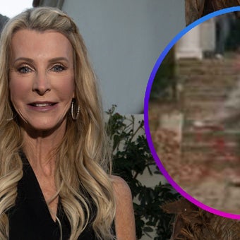 Joan Vassos - Exclusive Interviews, Pictures & More | Entertainment Tonight