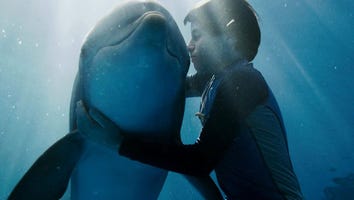 'Dolphin Tale' Reels Families into Theaters