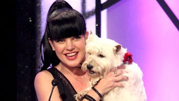 Call Her 'Paw'ley Perrette