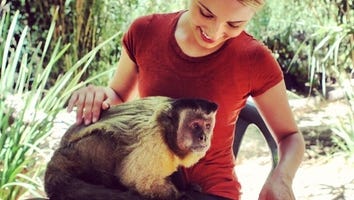 Revealing Celeb Twitpics