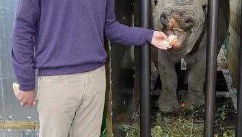 Prince William's 30th Birthday