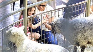 NEW PICS: Katie and Suri Visit the Zoo