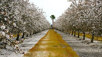 Discover California's Heartland