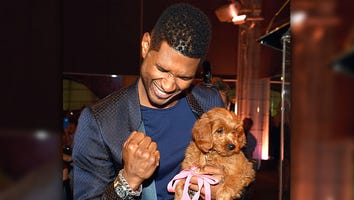 Usher Bids $12,000 to Get New Puppy