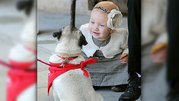 Guess That Star Baby