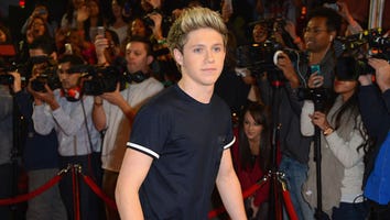 Niall Horan Dispels Rumors of Car Crash