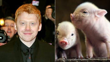 Happy National Pet Day!