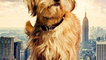 The Classy Character Posters Of 'Anchorman 2'