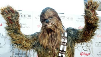 Rwoarrrr!!! Chewbacca Joins 'Star Wars VII' Cast