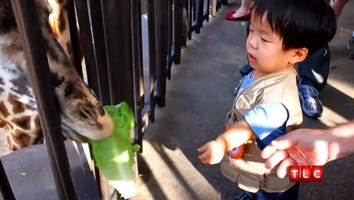 'The Little Couple' Celebrates Will's First Bday Party in the U.S.