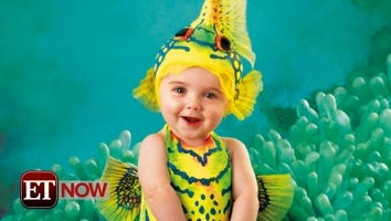 Anne Geddes Adorable Babies Are Heading 'Under the Sea'