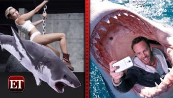 Celebrities Attack Twitter with 'Sharknado 2' Quips