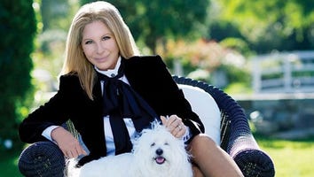 Barbra Streisand Joins Instagram and Of Course Her First Pic is Amazing