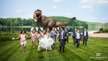 Jeff Goldblum Chased By Dinosaur In 'Jurassic Park' Themed Wedding Photo!