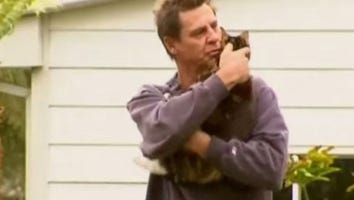 This Amazing Cat Rescues Her Owner From a House Fire