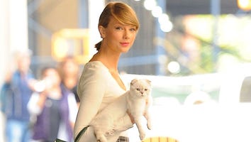 Taylor Swift Proves She is the Ultimate Cat Lady