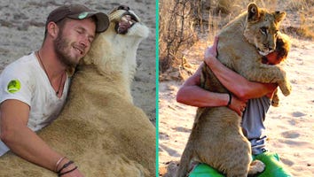 Watch the Heartwarming Moment a Lion Recognizes the Man Who Rescued Her