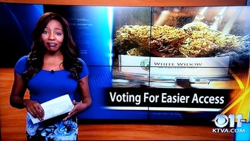 Reporter Says 'F*ck It, I Quit!' Live on Air to Dedicate Career to Marijuana