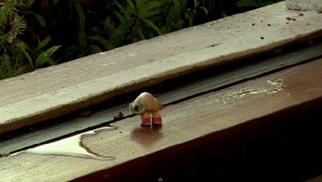 Marcel the Shell Is Back and Singing!