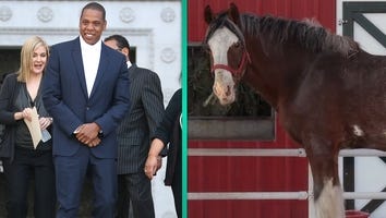 Bye, Bye Clydesdales, Budweiser Says Hello Jay Z