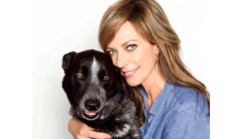 Celebrate Pet Happy Endings with 'Shelter Me'