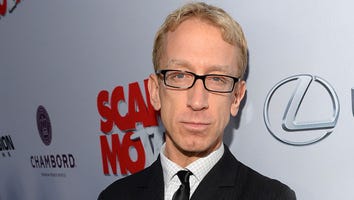Andy Dick Arrested on Suspicion of Grand Theft