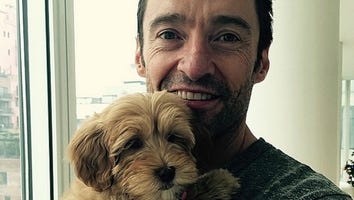 Hugh Jackman's Early Christmas Present: An Adorable New Puppy!