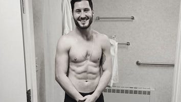 'Dancing with the Stars' Season 20 Pros Revealed