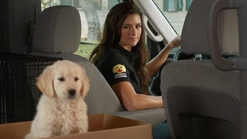 GoDaddy Pulls Puppy Super Bowl Ad Following Backlash