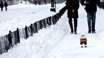 Moms Are Freaking Out About the Blizzard and Sending the Funniest Texts