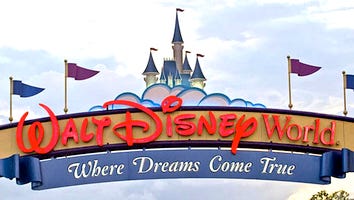Is It Possible to Ride all 46 Rides at Disney World in One Day? Find Out!