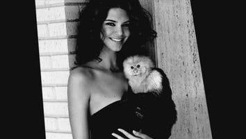 Watch Kendall Jenner Play With The Monkey From 'Friends' in a bathing suit!