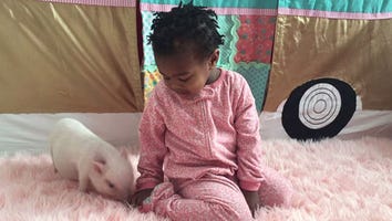 This Two-Year-Old and Her Pet Pig Are So Adorable It Hurts