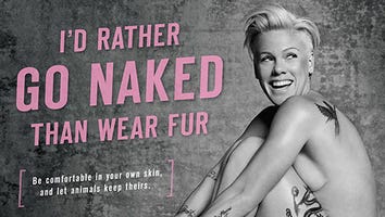 Pink Gets Naked for PETA
